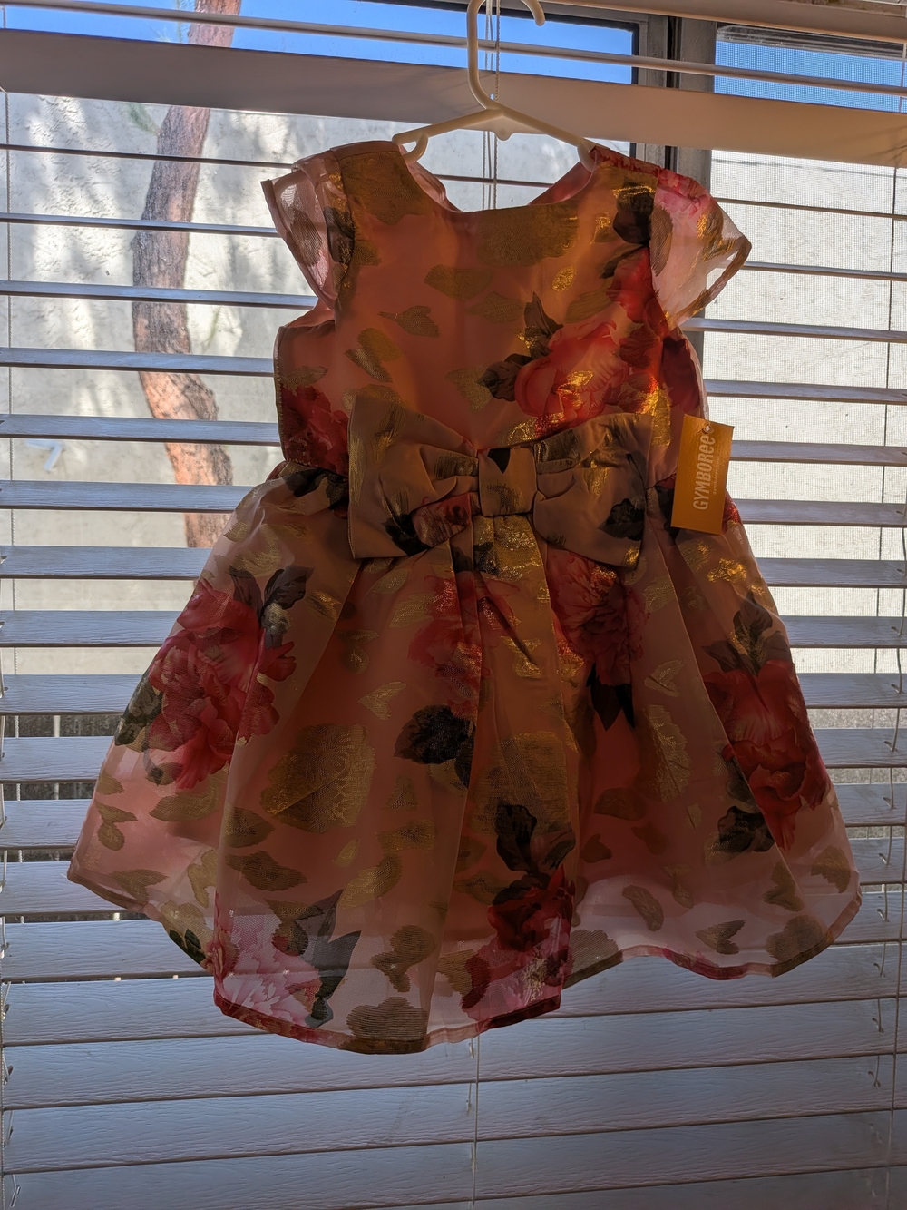 Gymboree Pink Floral Organza Bow-Front Dress